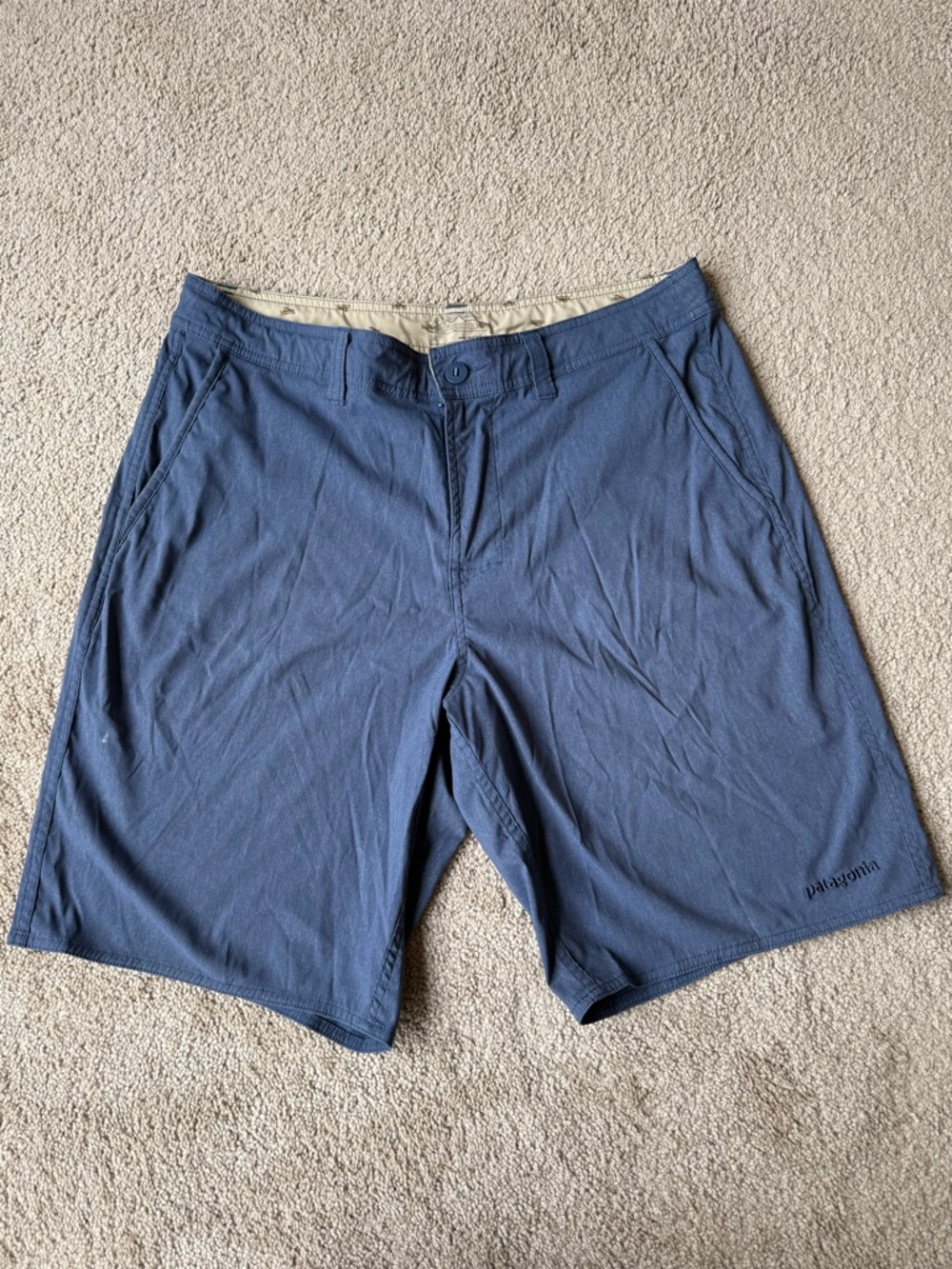 Patagonia Men's Shorts